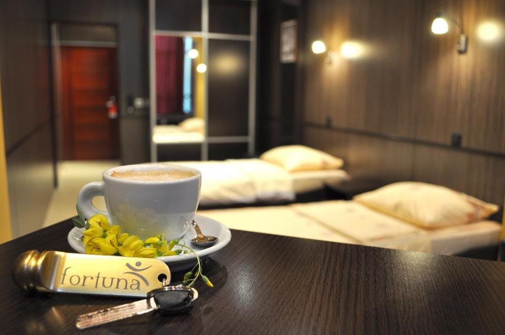 Hotel Fortuna - Wellness oddih in kopanje v zunanjih bazenih v Banjaluki, Banja Luka, Bosna in Hercegovina - 64 EUR - 1x nočitev v dvoposteljni sobi za 2 osebi, Zajtrk