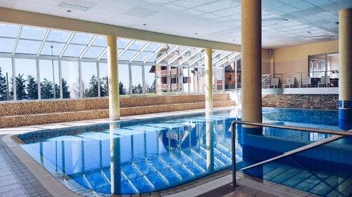 Forest Hotel Videc – Wellness paket s masažom, Pohorje, Slovenija – 2.300 HRK – 2x noćenje u dvokrevetnoj sobi s pomoćnim ležajem za 2 osobe, Polupansion (buffet doručak i večera)