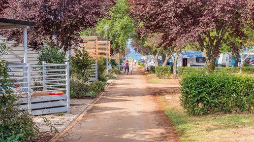 Adriatic Kamp – Mobilne kućice Camping Bijela Uvala, Poreč, Istra, Hrvatska – 1.500 HRK – 5x noćenje u mobilnoj kućici Moda plus (M63D) za 6 osoba, Korištenje bazena