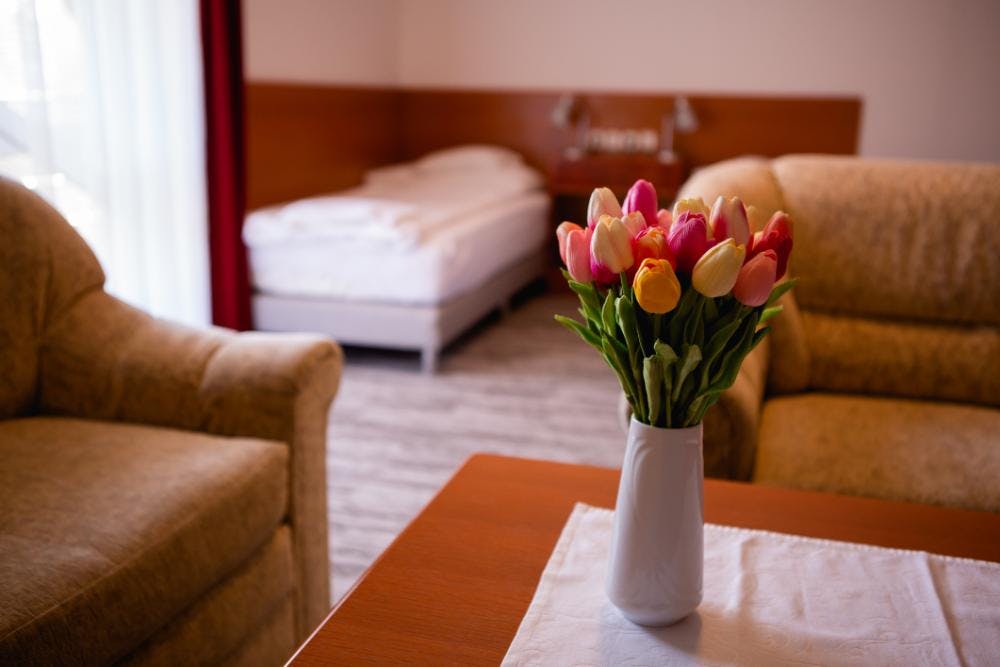Hotel Ovit - Oddih na Madžarskem, Keszthely, Madžarska - 198 EUR - 2x nočitev v dvoposteljni Standard sobi s teraso ali balkonom kuhinjsko nišo za 2 osebi, Zajtrk