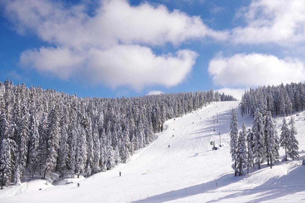 Vile Terme Zreče - SKi & SPA paket - Soba