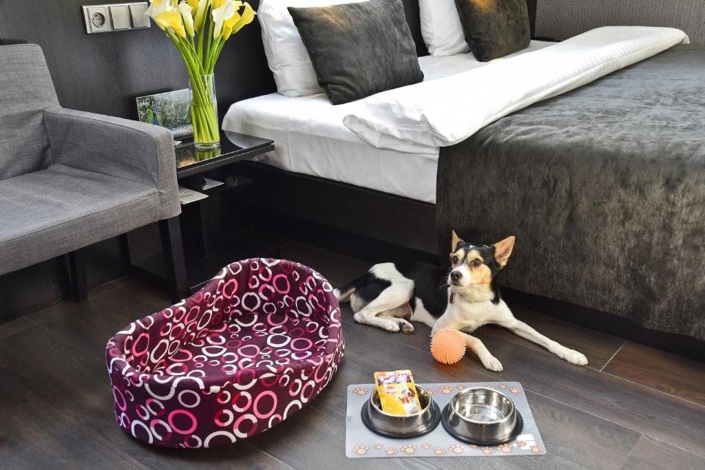 Hotel Ametyst - Butični hotel v središču Prage, Praga, Češka - 233 EUR - 2x nočitev v dvoposteljni Standard sobi za 2 osebi, Samopostrežni zajtrk