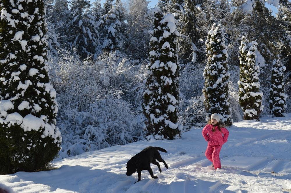 Landidyll Hotel Nudelbacher - Zimski odmor u Kärntenu, Feldkirchen in Kärnten, Austrija - 389 EUR - 3x noćenje u dvokrevetnoj sobi s balkonom za 2 osobe, Polupansion