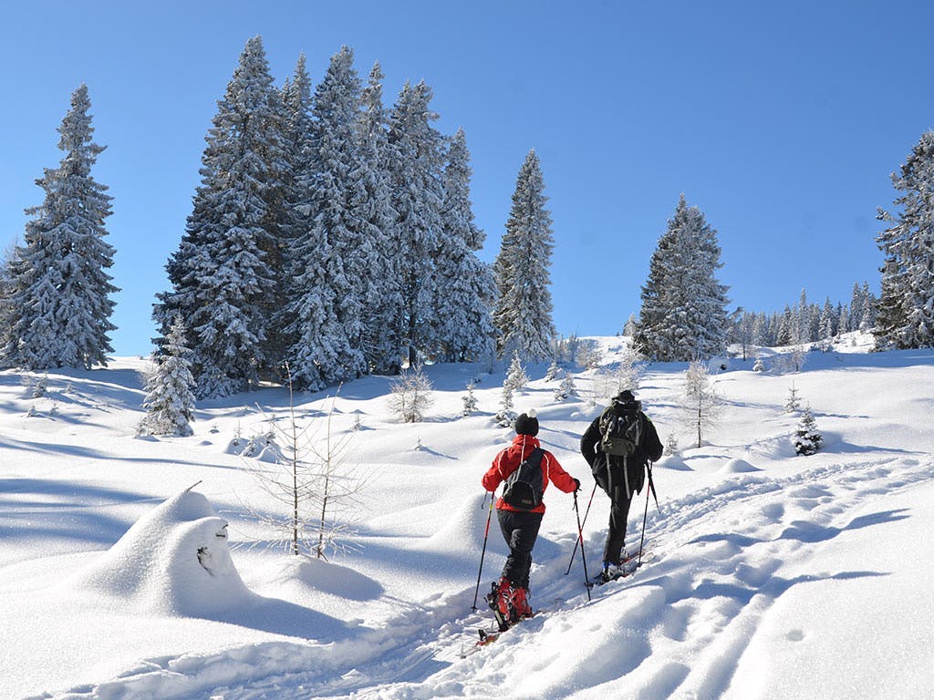 Landidyll Hotel Nudelbacher - Zimski odmor u Kärntenu, Feldkirchen in Kärnten, Austrija - 759 EUR - 5x noćenje u dvokrevetnoj sobi s balkonom za 2 osobe, Polupansion