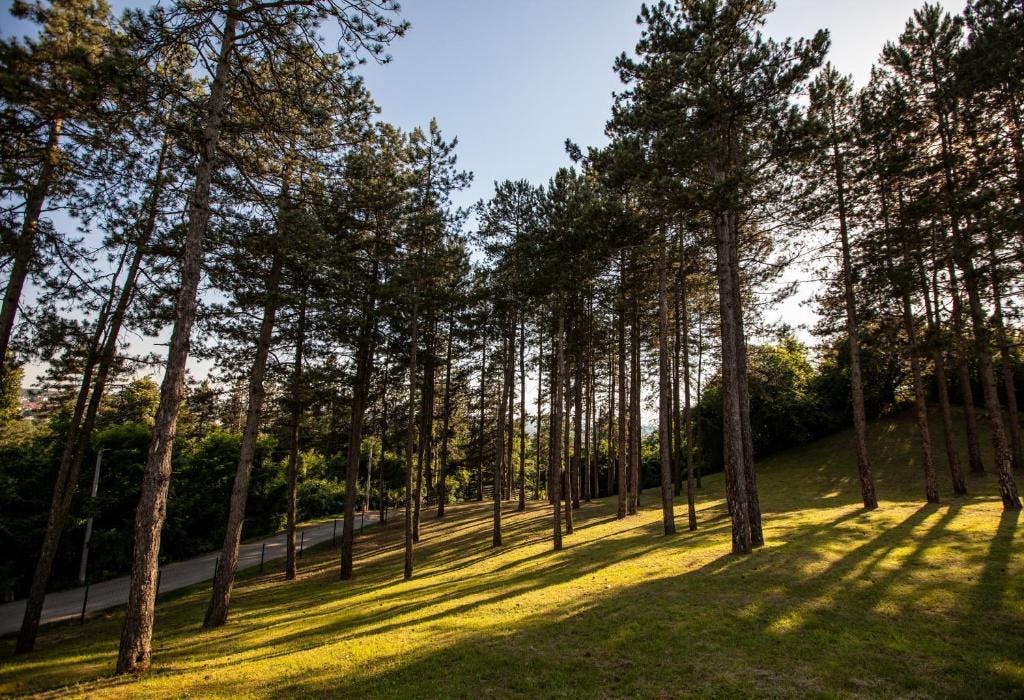 Motel Babino Brdo - Obiteljsko opuštanje uz predivan pogled