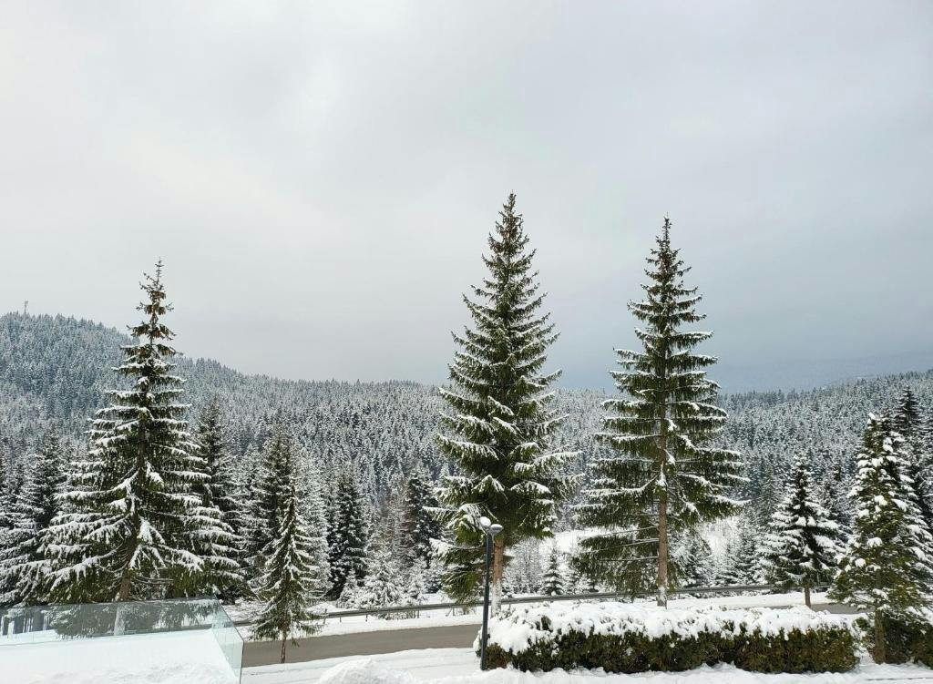 Hotel Forest - Vikend odmor na Jahorini