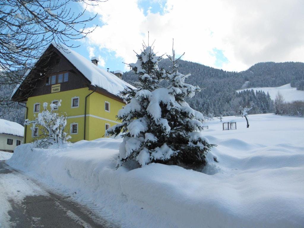 Apartmani Tubej Bohinj - Zimska bajka u Bohinju