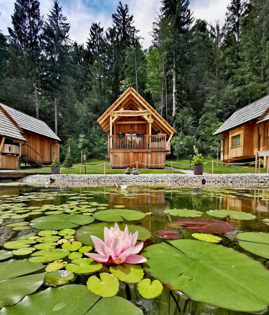 Ribno Luxury Glamping - Jesenski glamping na Bledu tijekom vikenda, Bled, Slovenija - 468 EUR - 2x noćenje u luksuznoj glamping kućici s privatnom saunom i drvenom kadom s toplom vodom za 2 osobe (2 djece do 12 godina besplatno), Doručak u Hotelu Ribno