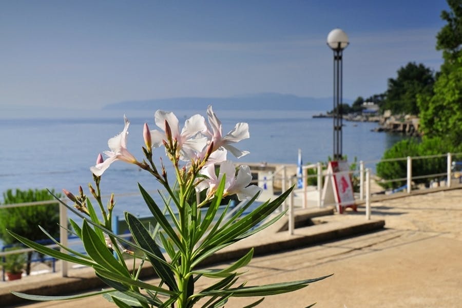 Hotel Park - First minute proljeće i jesen u Lovranu