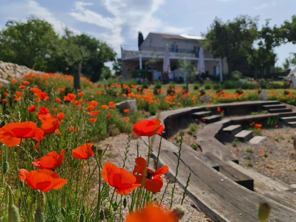 Boutique Resort Osma / Adults only - Ljetni odmor na Krku