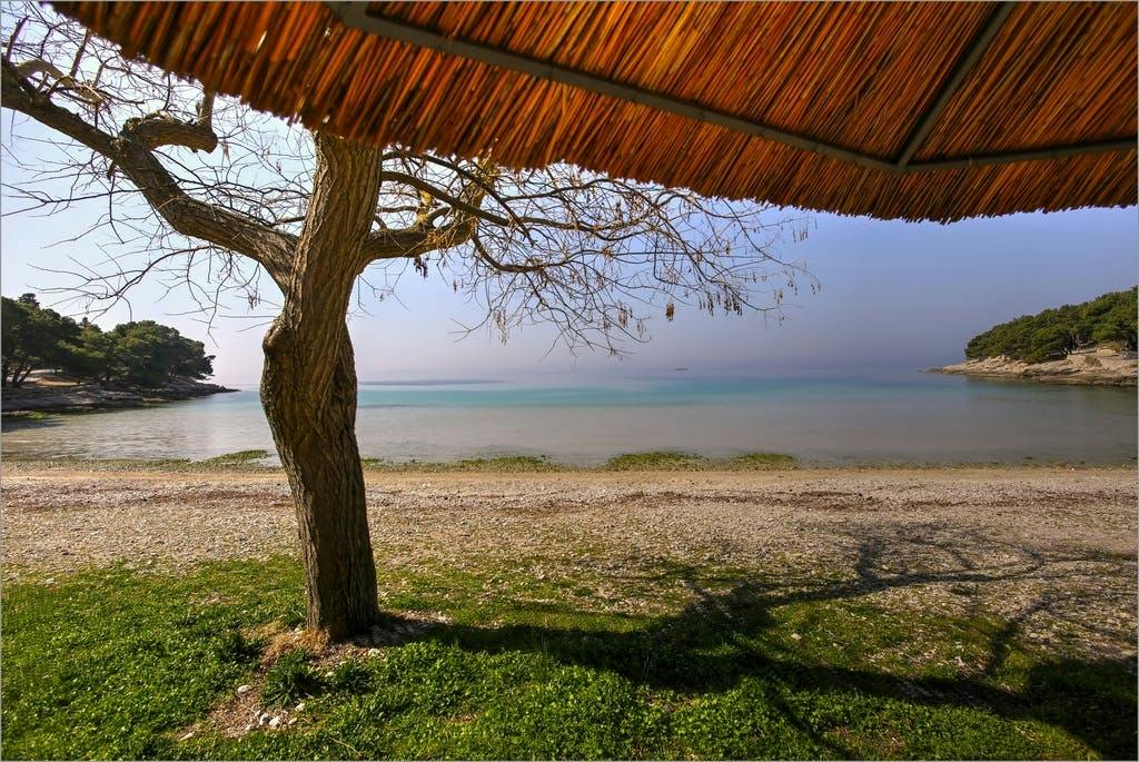 Kamp Rehut - Mobilne kućice - Last minute odmor na otoku Murter