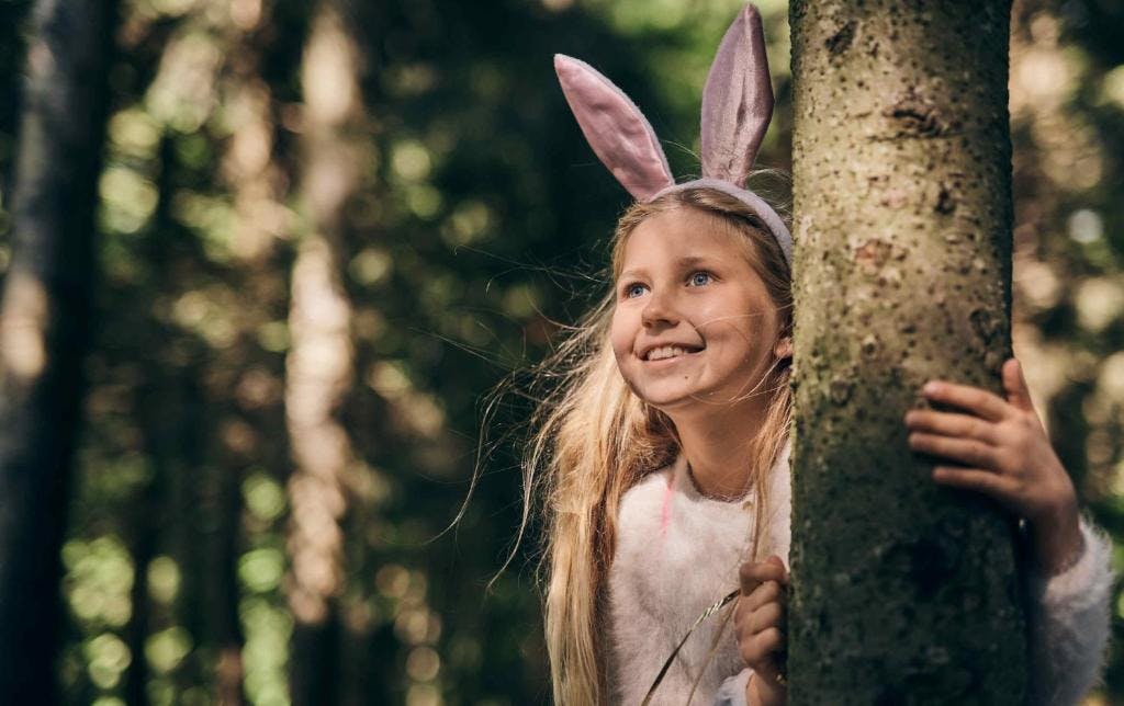 Forest Apartments Videc - Uskrs ili 1. svibanj na Pohorju za 6 osoba