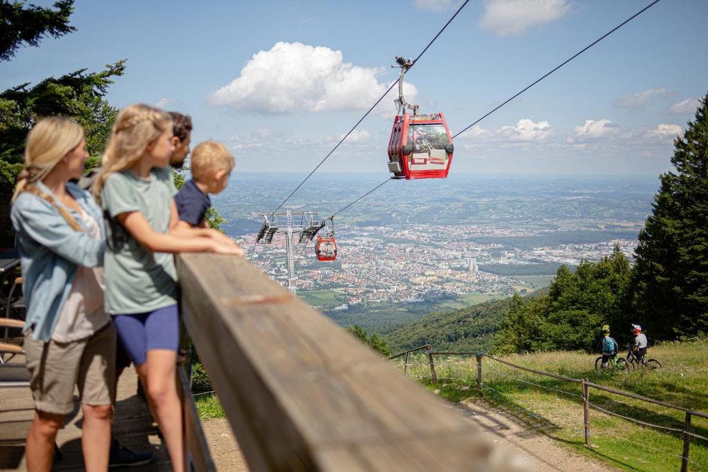 Wellness & Spa Apartmaji Bolfenk - Ljeto na Pohorju tijekom tjedna