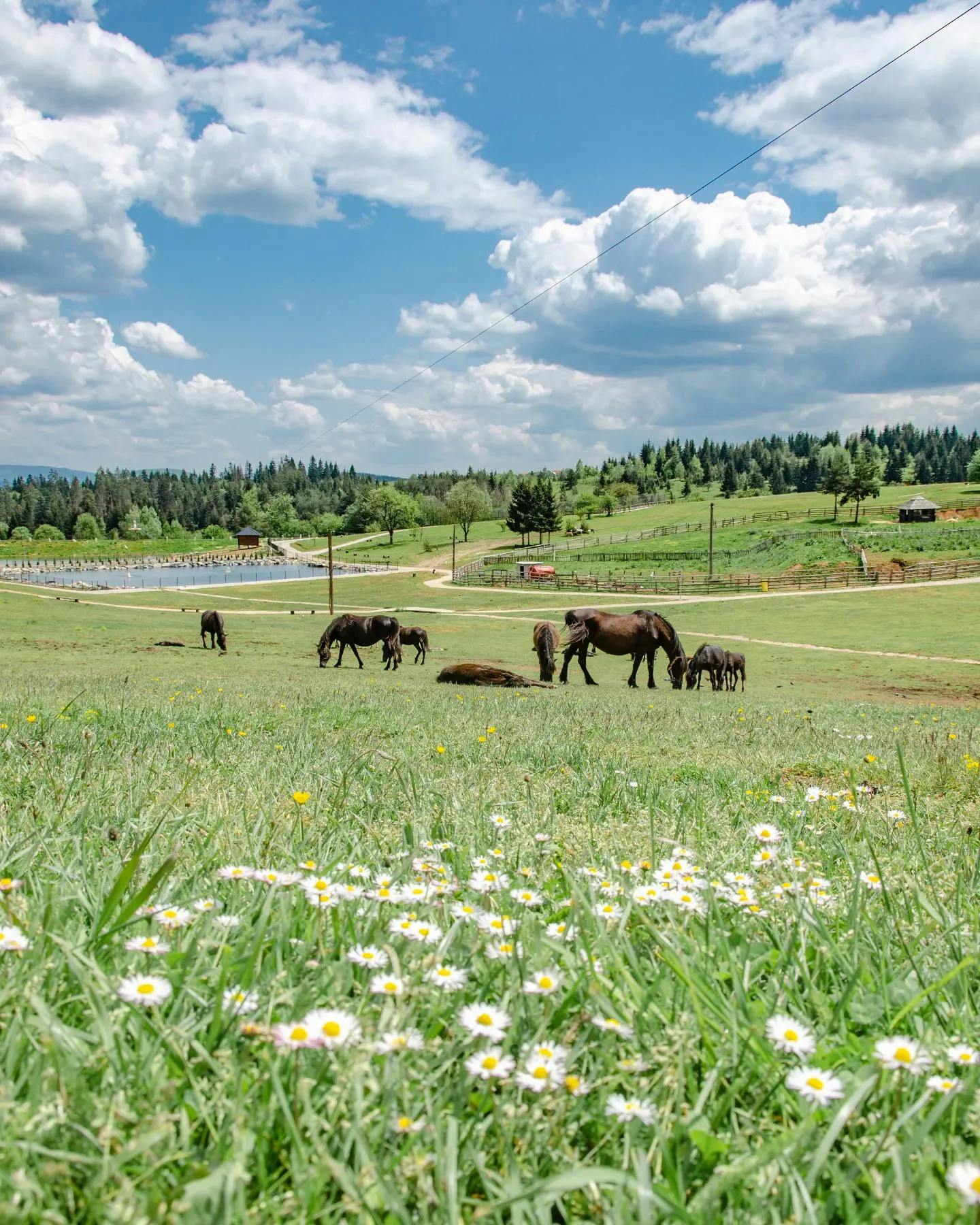 Turističko naselje Ajdinovići SRCA - Hotel Central i Lux apartmani - Svibanjski vikend odmor za dvoje