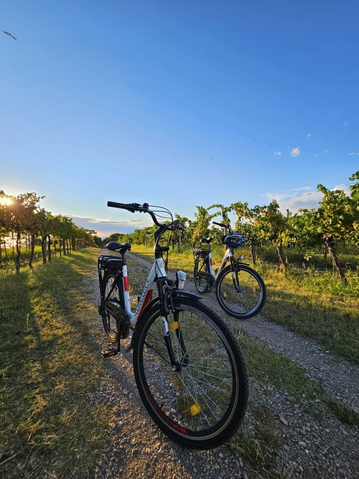 Hotel Rezidenca Ortus - U dvoje s električnim biciklima duž slovenske obale