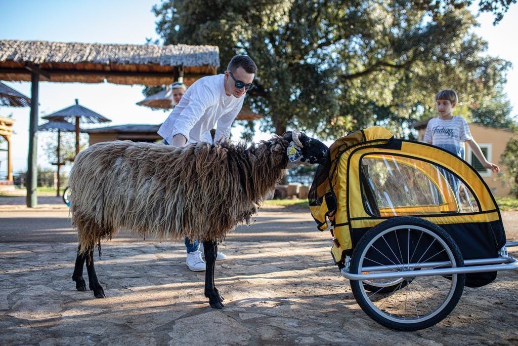 Hotel Istra - Aktivni proljetni paket doživljaja na Brijunima