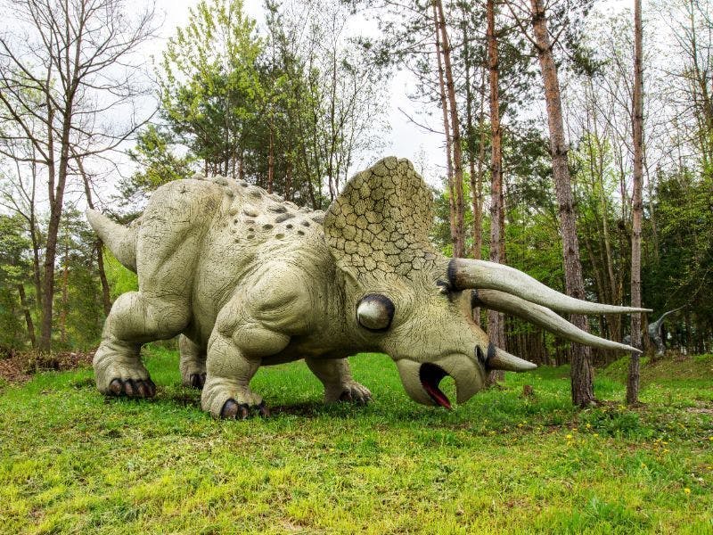 Dinopark Bled - Obiteljska ulaznica, Lesce, Slovenija - 22,40 EUR - 1x obiteljska ulaznica za Dinopark (za 2 odrasle osobe i maksimalno 3 djece), Korištenje 6 D Dinokina