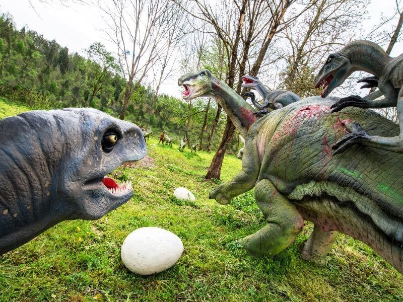 Dinopark Bled - Ulaznica za odraslu osobu