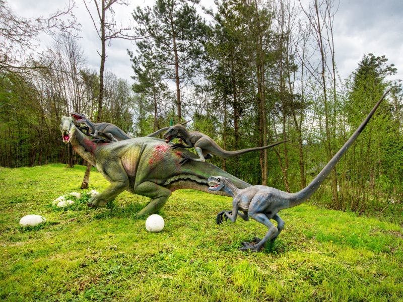 Dinopark Bled - Ulaznica za djecu, Lesce, Slovenija - 5,60 EUR - 1x ulaznica za Dinopark za 1 dijete (djeca od 3 do 17,99 godina), Korištenje 6 D Dinokina