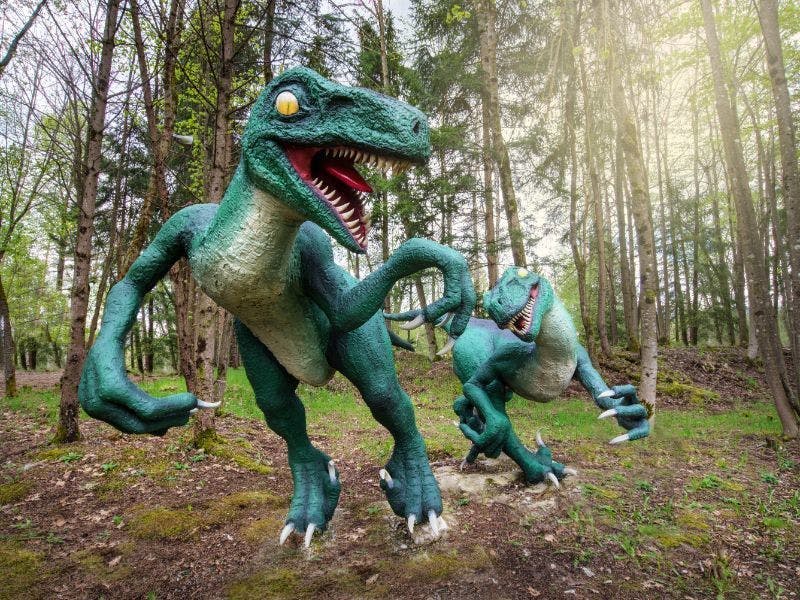 Dinopark Bled - Ulaznica za odrasle