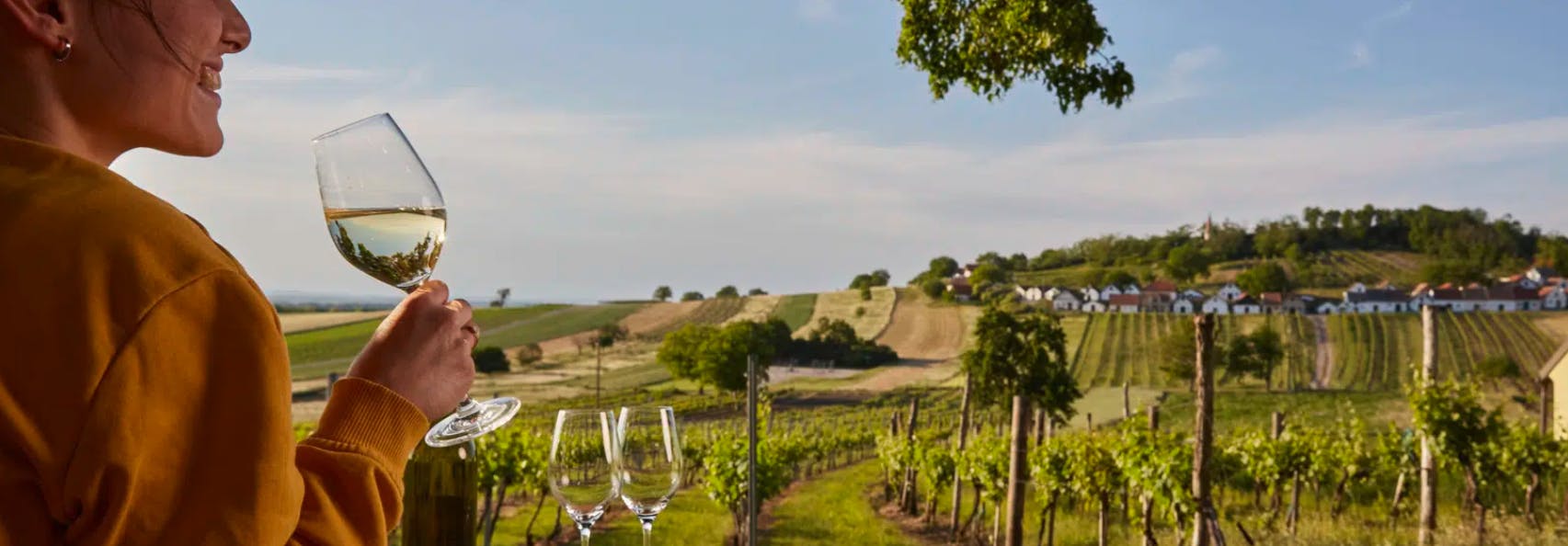 Althof Retz, Landgut & SPA - Adults only wellness odmor s uključenom degustacijom vina