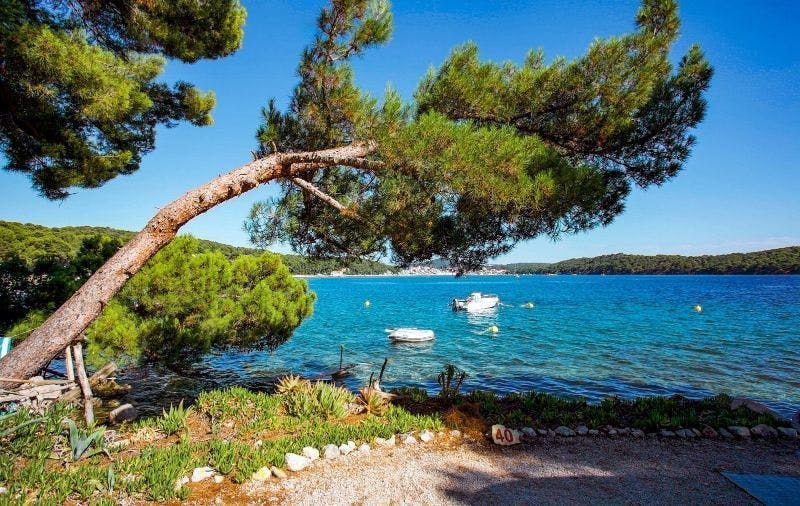 Camping Village Poljana - Mobilna kućica - Last minute odmor na Malom Lošinju, Mali Lošinj, Hrvatska - 180 EUR - 2x noćenje u mobilnoj kućici Bellavista za 4 osobe (1 dijete do 11,99 godina besplatno), Korištenje struje, plina i vode