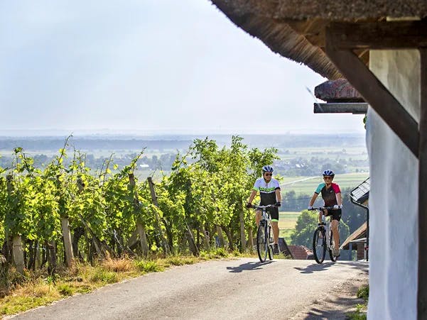 Hotel Termal - Terme 3000 - Biciklistički odmor tijekom tjedna
