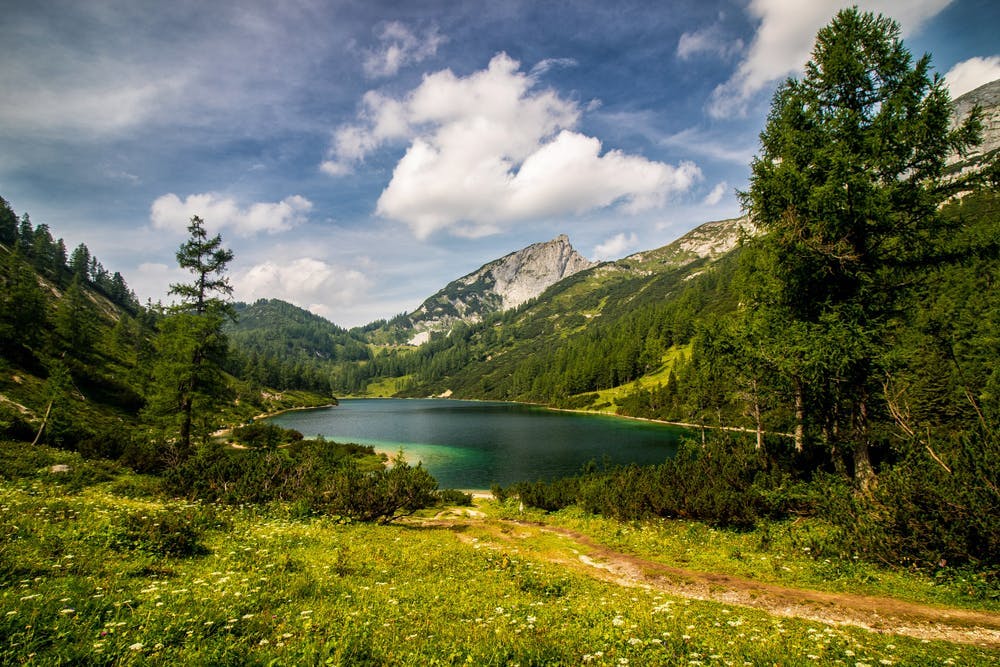Hotel Tauplitzalm - Savršen odmor na planini udvoje, Bad Mitterndorf, Austrija - 296 EUR - 2x noćenje u Standard dvokrevetnoj sobi za 2 osobe, Polupansion