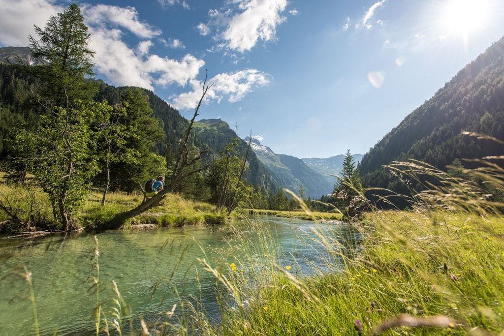 Ferienhotel Alber – Odmor u zagrljaju planina