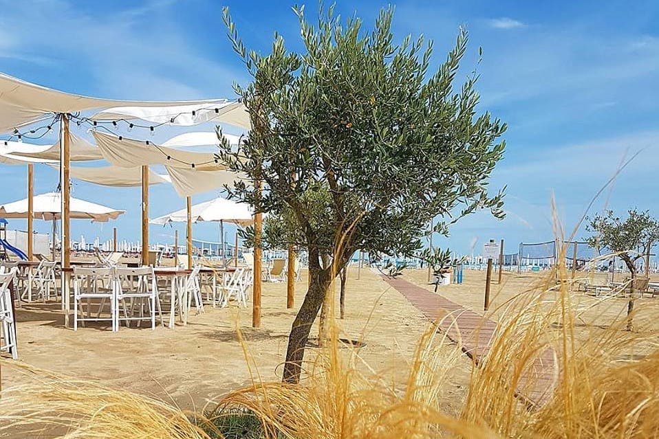 Hotel Alba - Odmor uz pješčanu plažu, Marina di Ravenna, Italija - 230 EUR - 2x noćenje u Superior dvokrevetnoj sobi za 2 osobe, Buffet doručak