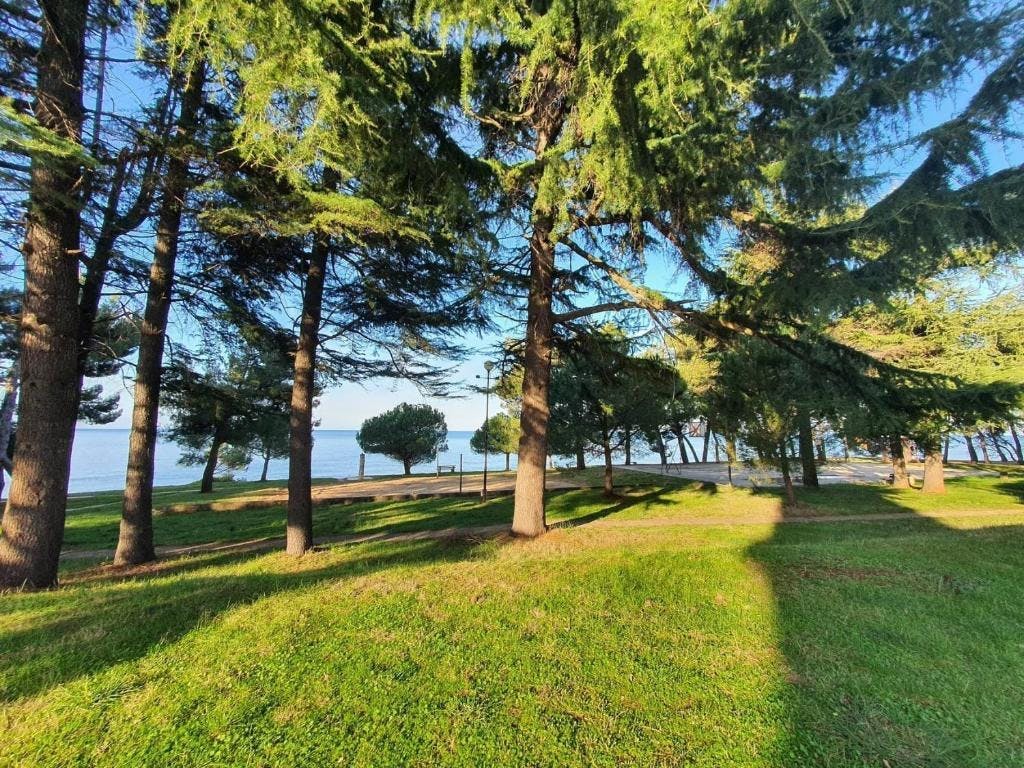Youth Hostel Pinesta - Ljeto u Novigradu