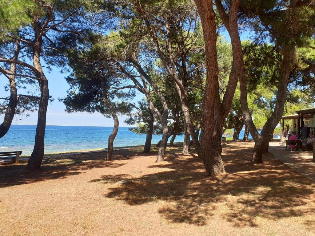 Youth Hostel Pinesta - Last minute ljeto u Novigradu