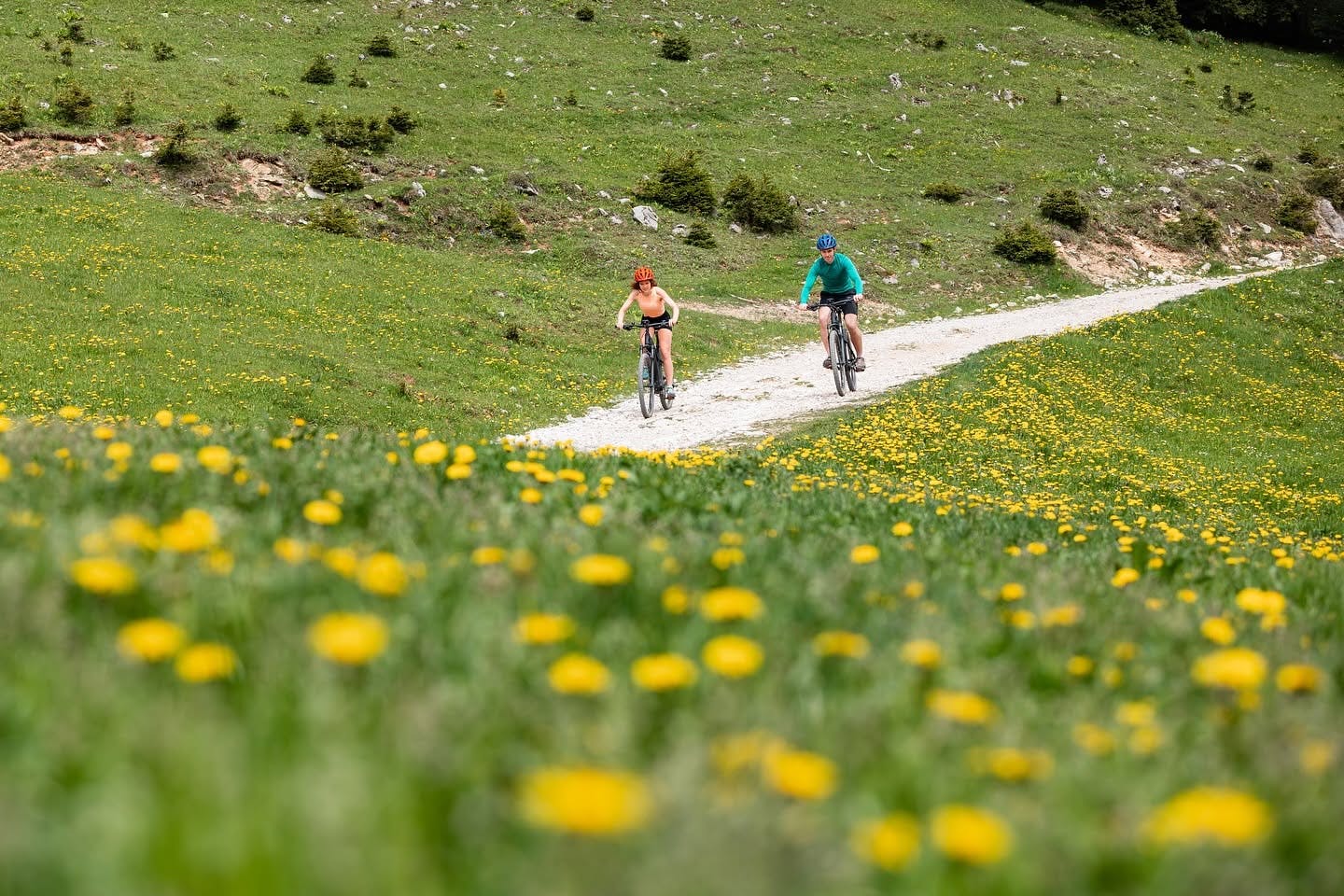 Wellness hotel Montis - Adrenalinska avantura s dozom wellnessa za dvoje na Goltama, Mozirje, Slovenija - 319 EUR - 2x noćenje u dvokrevetnoj sobi za 2 osobe, Polupansion (doručak i večera)