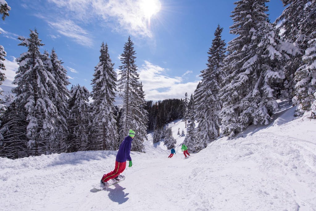 Wellness hotel Montis - First minute skijanje & wellness na Goltama