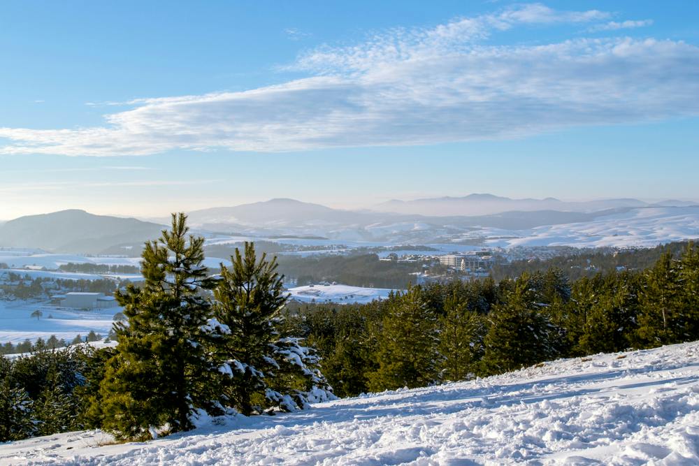 Central Inn Zlatibor - Luksuzan odmor u srcu Zlatibora